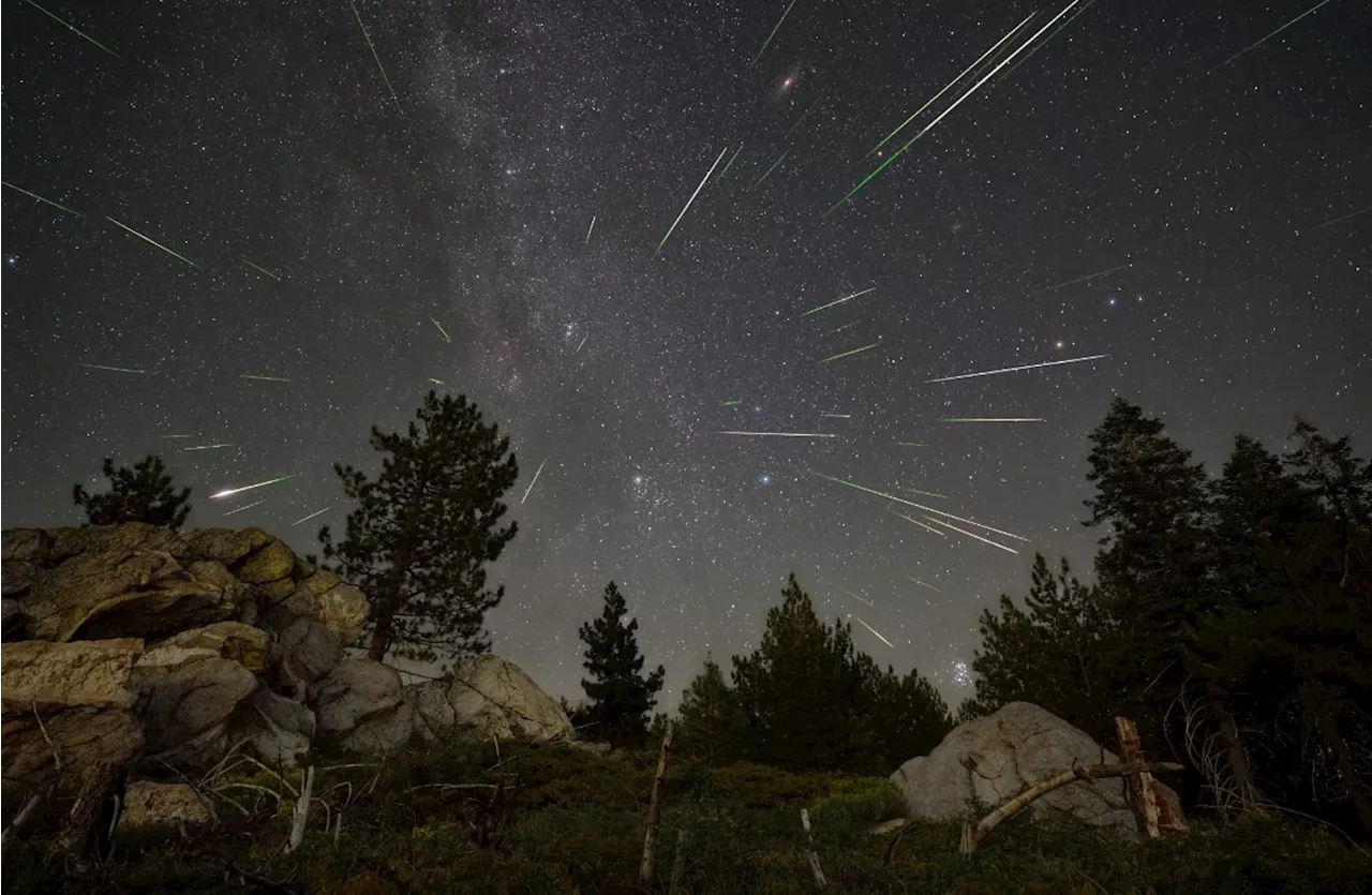 2024 Perseids Light Up the August Sky