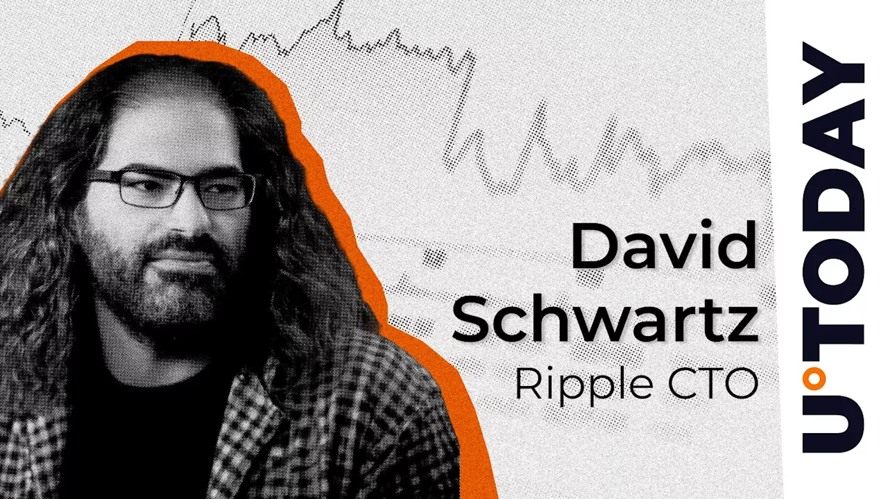 Ripple CTO Comments on Recent Crypto Market Collapse