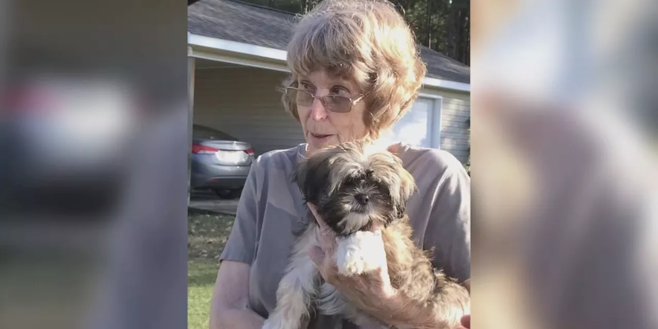 Faithful dog saves 81-year-old owner’s life after she falls, suffers brain injury