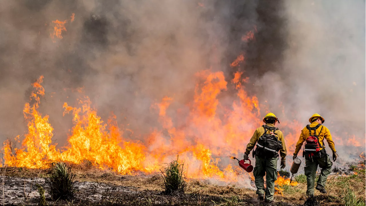 'The state's on fire': Washington fire departments stretch resources amid wildfire season