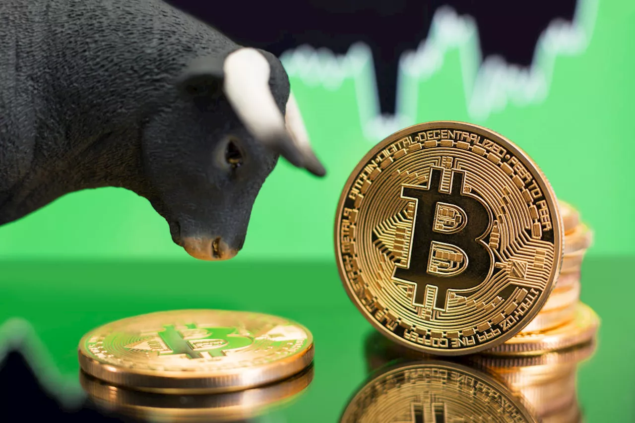 Bitcoin bulls predict new record highs following worst rout since FTX collapse