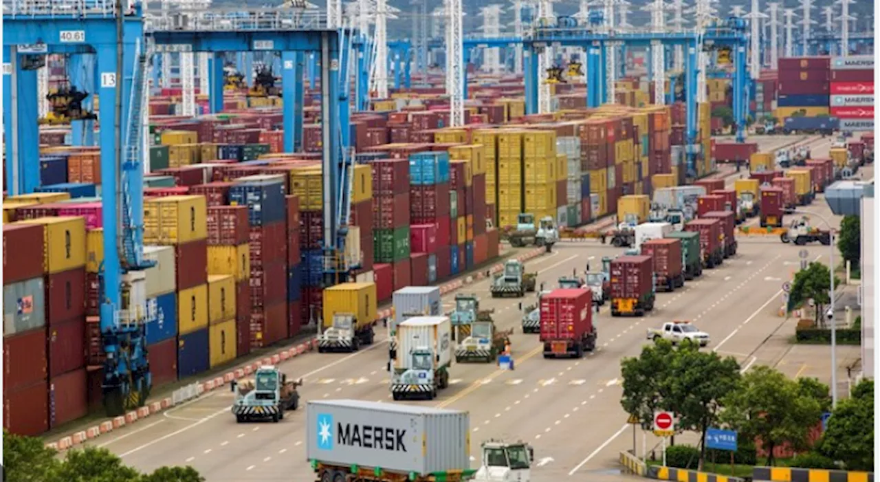 China notches steady export growth in July as imports surge