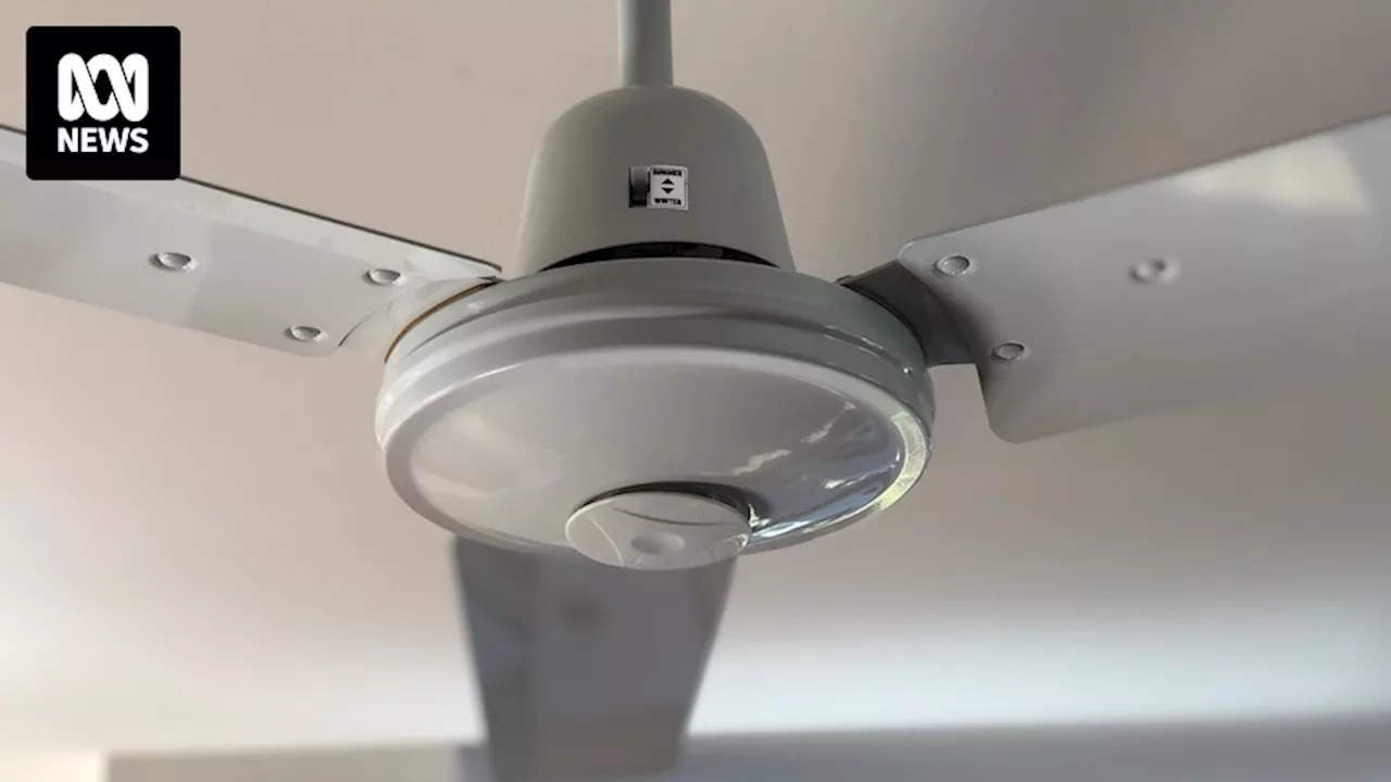 Many ceiling fans have a hidden switch that can reduce your power bill