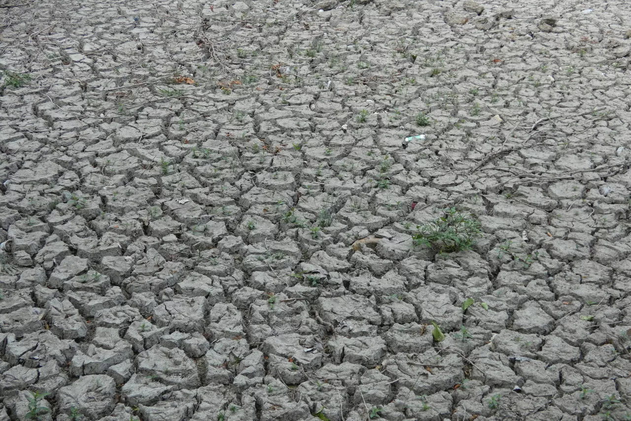 Sécheresse. L'état de catastrophe naturelle reconnue pour six communes du Gard