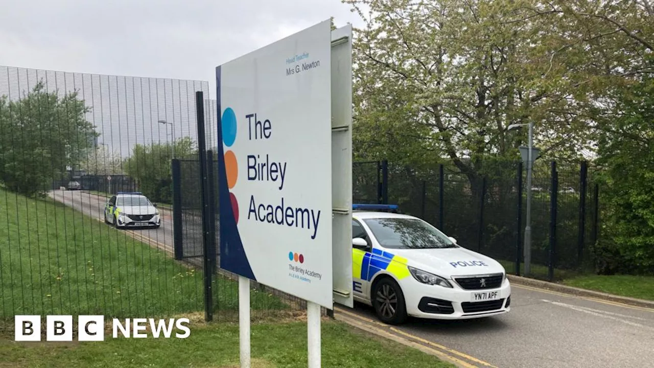 Birley Academy attack: Ex-pupil, 17, guilty of attempted GBH