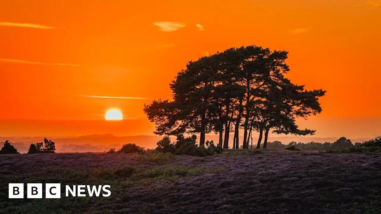 Hampshire & Isle of Wight's Big Picture: 5 Aug