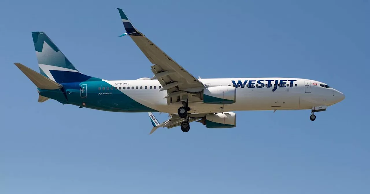 Group files lawsuit against WestJet for 'misleading' info on its site