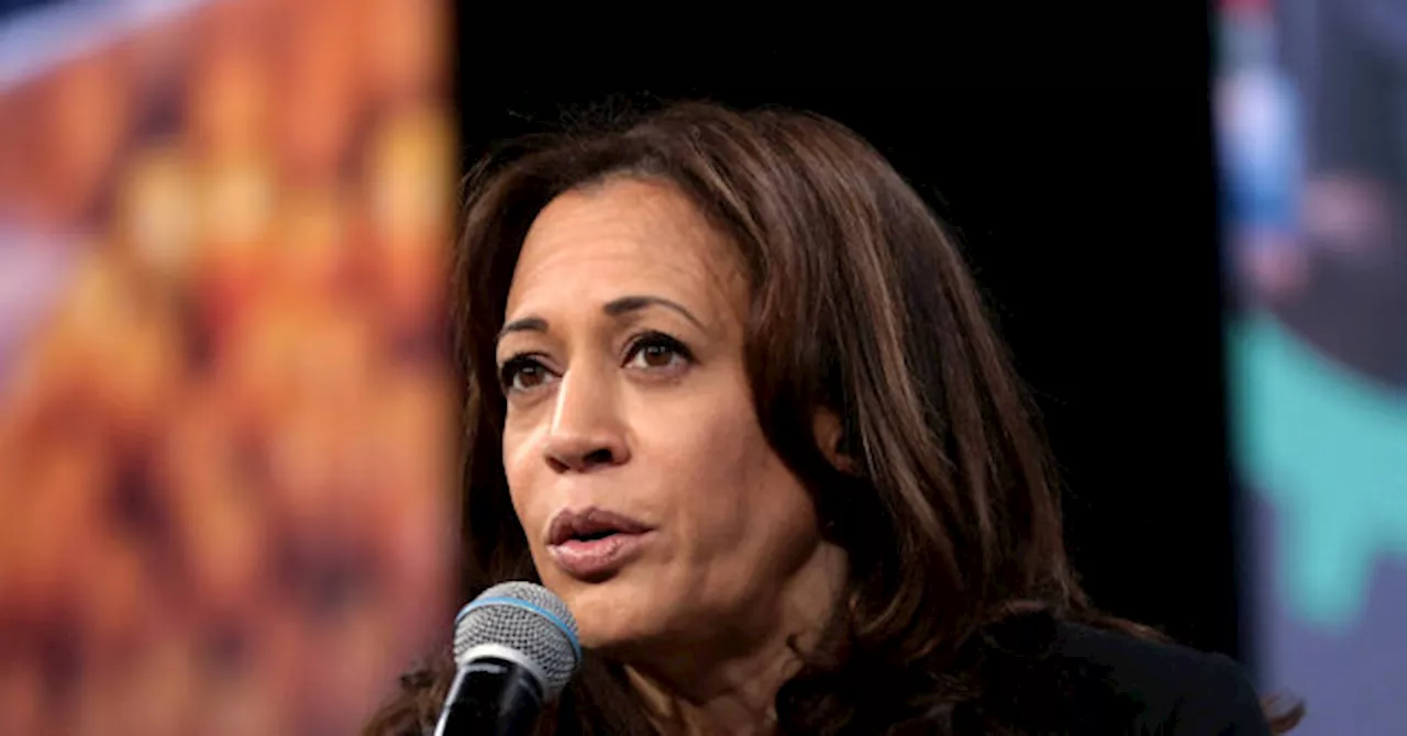 Poll: Nearly One-Third Believe Process of Kamala Harris Becoming Democrat Nominee Has Been ‘Unfair’