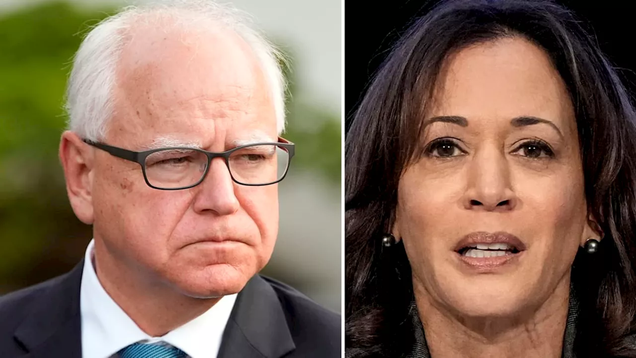 Harris, Walz debut White House ticket, vowing 'fight for future'