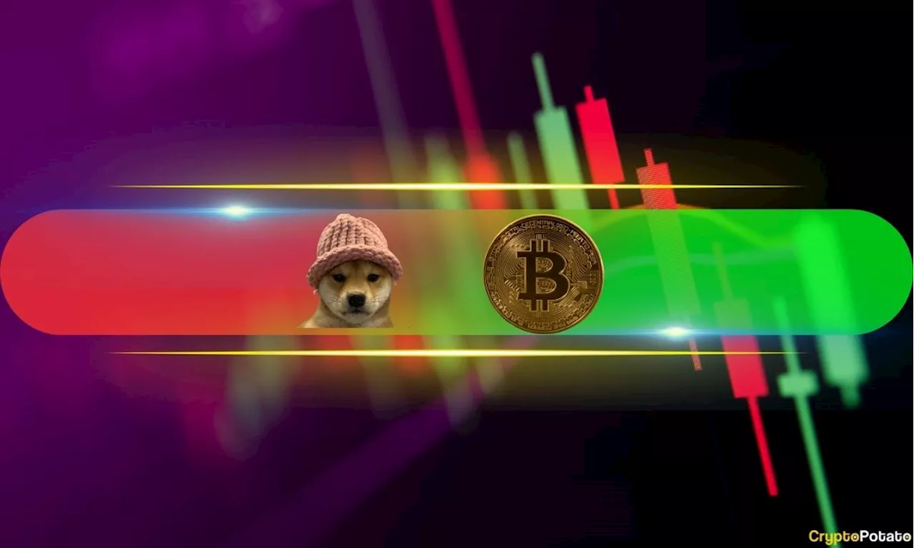 WIF Skyrockets 27% Daily After Meme Coin Massacre, BTC Recovers to $57K (Market Watch)