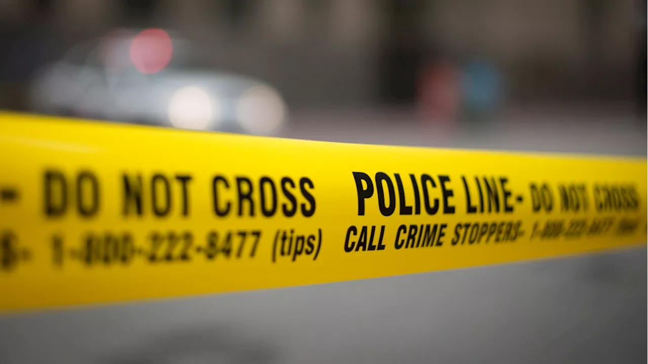 Toronto police searching for driver in Scarborough hit-and-run