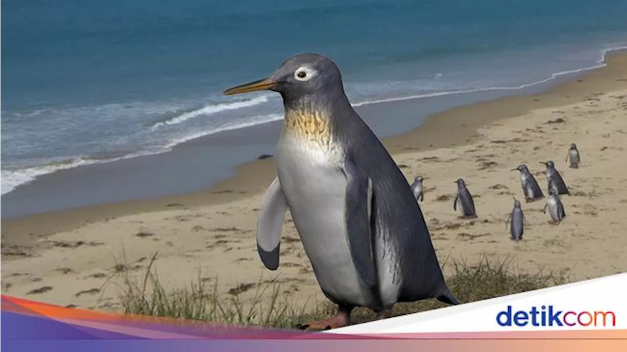 Kenapa Penguin Tidak Bisa Terbang? Ternyata Punya Kemahiran Ini