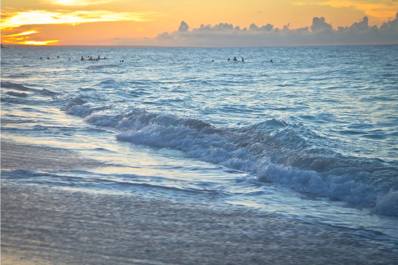 Atlantic Ocean Conveyor Likely to Collapse Before 2050, Say Climate Scientists