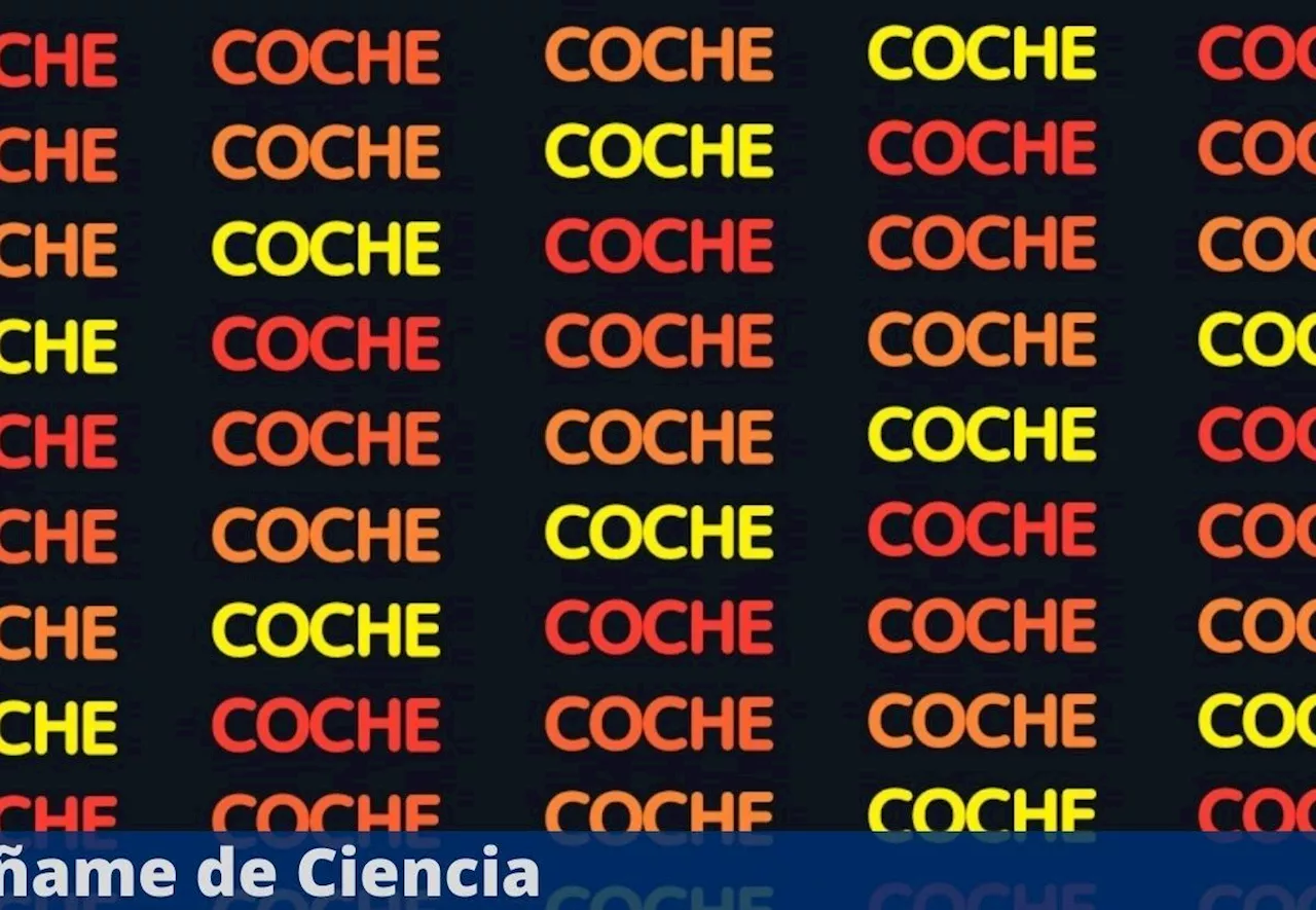 Acertijo visual del MOMENTO: Tienes 10 segundos para encontrar la palabra “NOCHE” entre “COCHE”, nivel DIOS