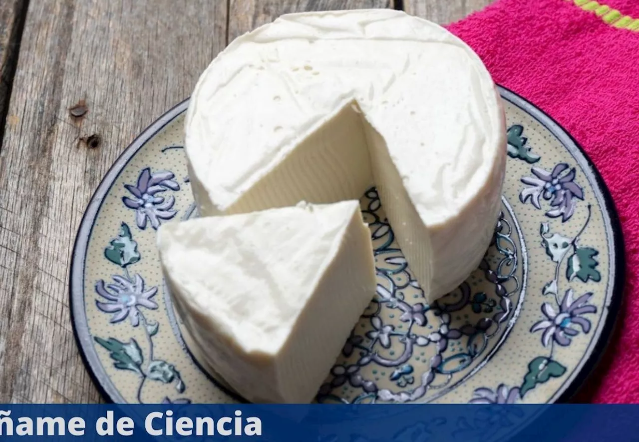 El trucazo que pocos conocen para conservar el queso en buen estado y evitar que se ponga duro