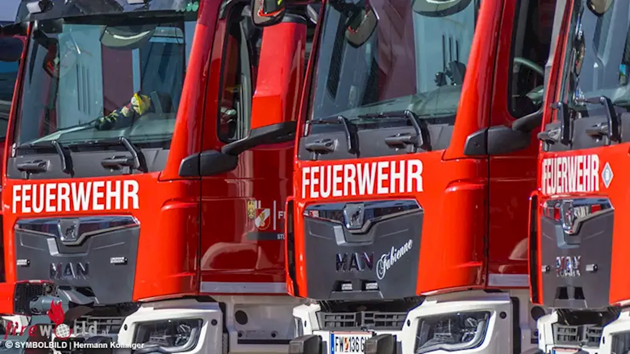 D: 50-Millionen-Euro-Feuerwehrprogramm Mecklenburg-Vorpommern: Erste Tanklöschfahrzeuge überreicht