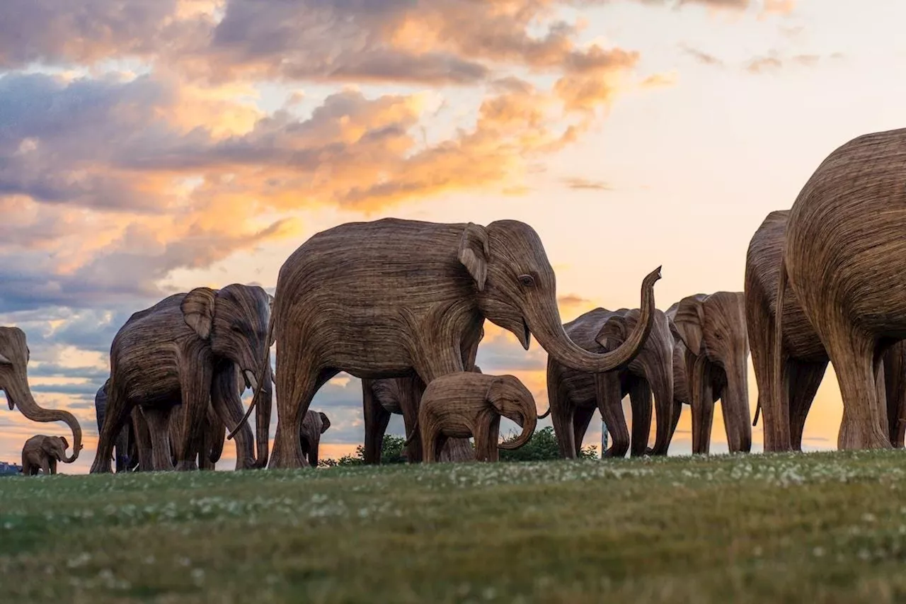 Migration Of 100 Life-Size Elephant Sculptures Will Make Stop In NYC