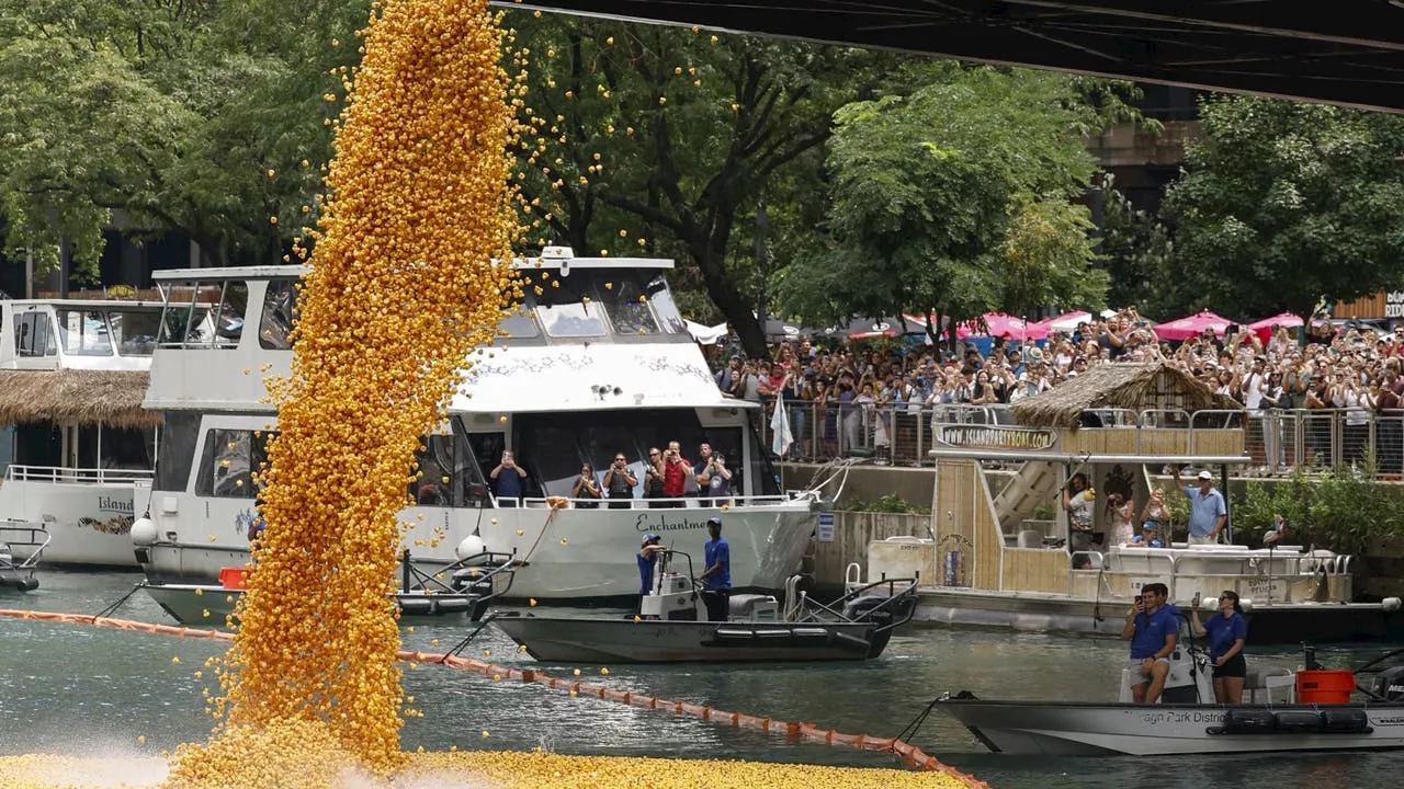 WATCH: Chicago Ducky Derby 2024 kicks off Wednesday