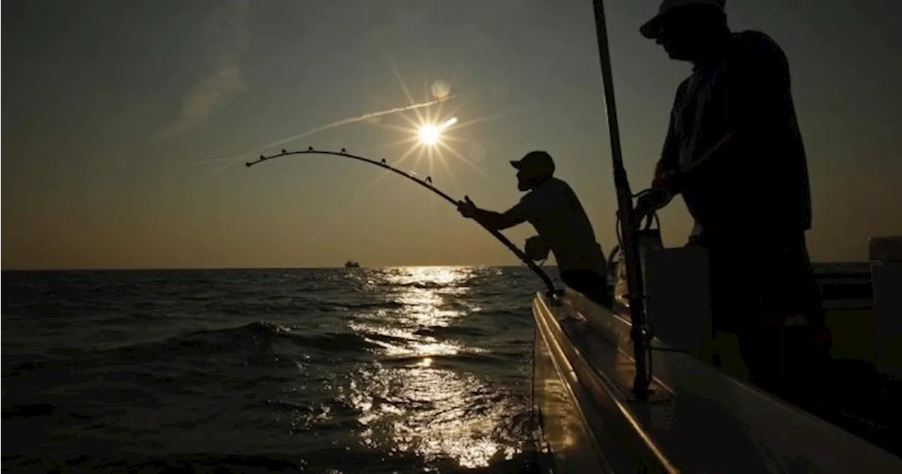 N.S. swordfish harpoon fleet urged to bring tourists aboard to boost troubled sector