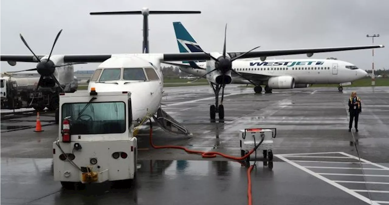 WestJet says 10% of fleet grounded after Calgary hit by massive hailstorm