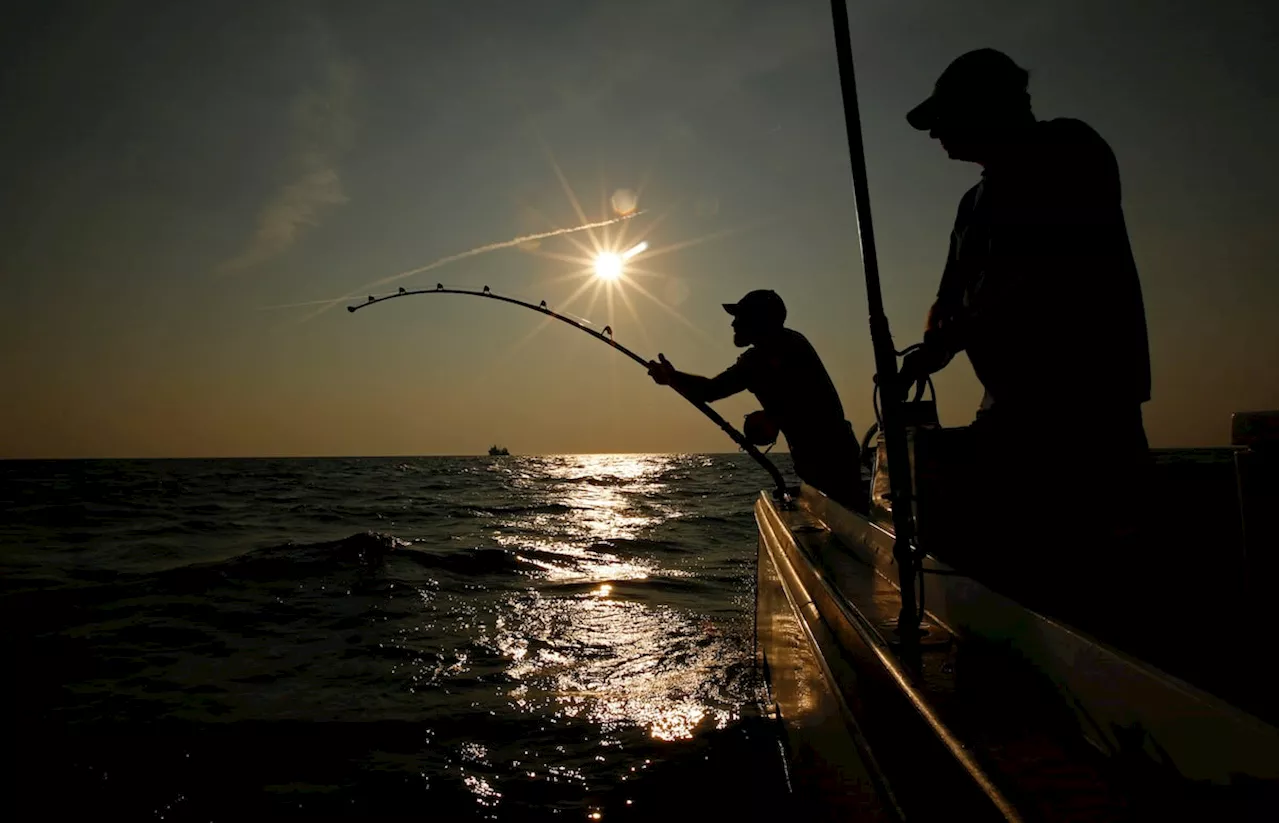 Nova Scotia’s swordfish harpoon fleet urged to bring tourists aboard to boost troubled sector