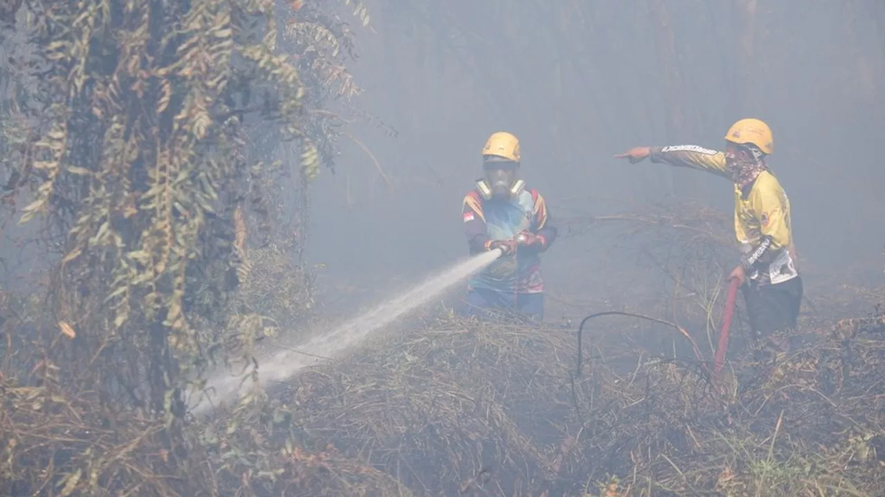 Kalsel Gelar Operasi Modifikasi Cuaca untuk Cegah Karhutla