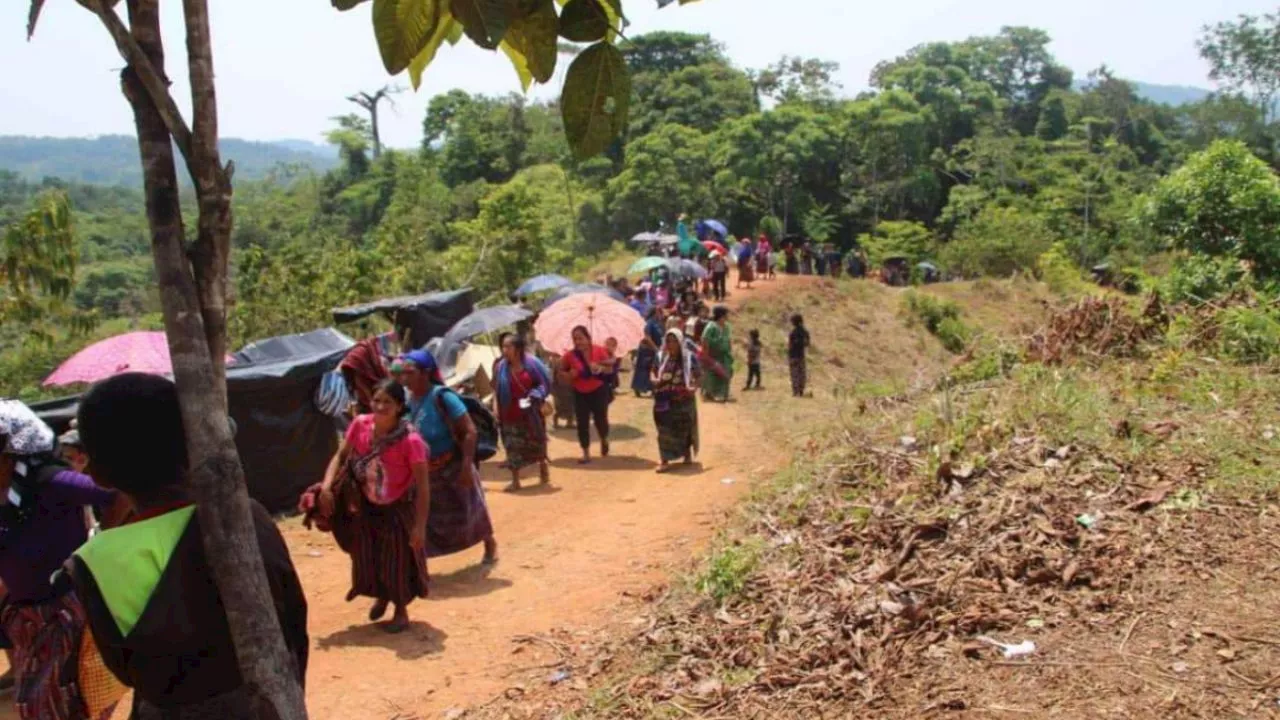 Tres comunidades de los Altos de Chiapas con desplazamiento forzado por el crimen organizado