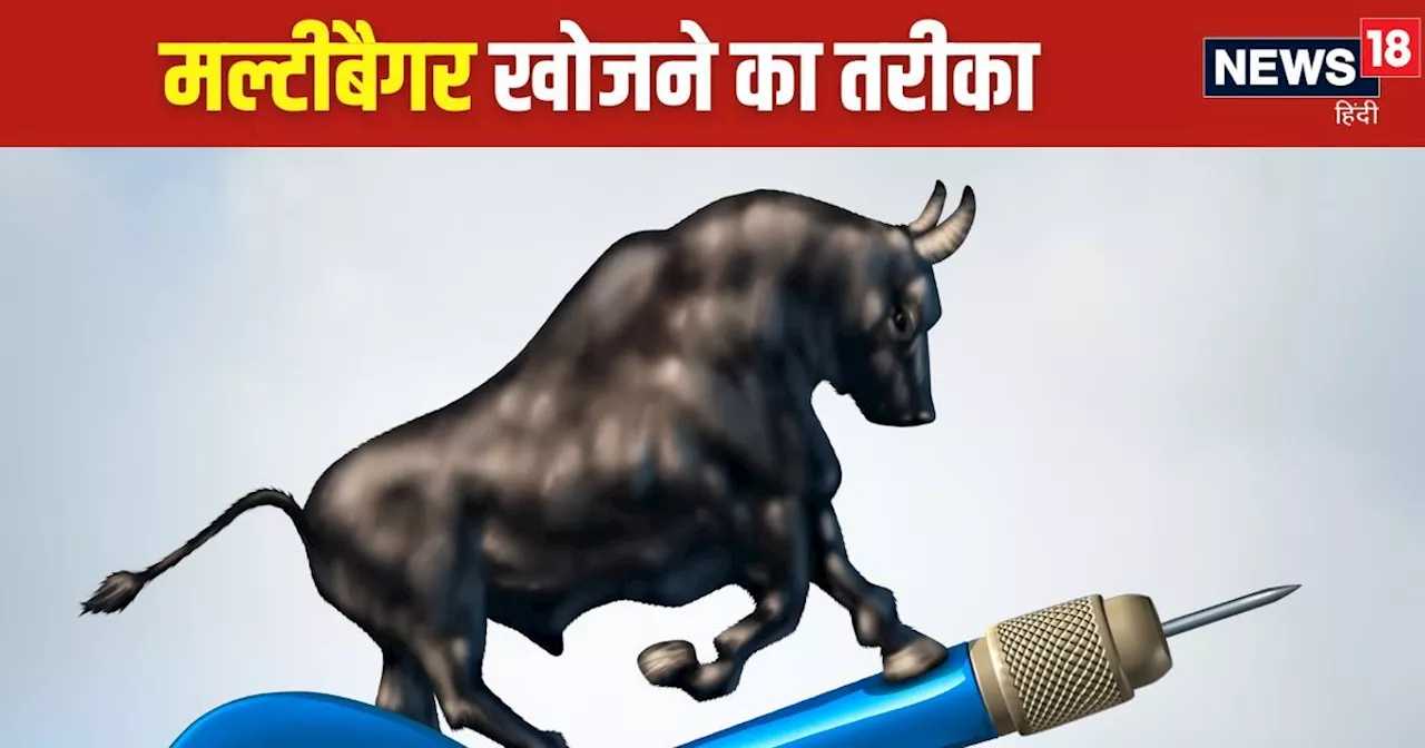 यह देखते ही पकड़ लेंगे मल्टीबैगर की पूंछ, शेयर मार्केट से ₹11,85,62,00,000 कमाने वाले ने दिया ब्रह्मास्त्र