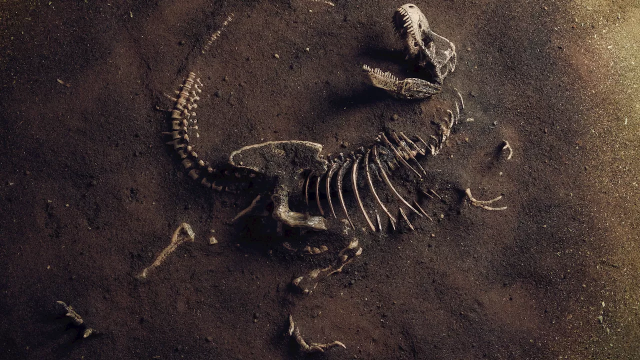 Decoding the past: Earth’s most ancient fossils and what they tell us
