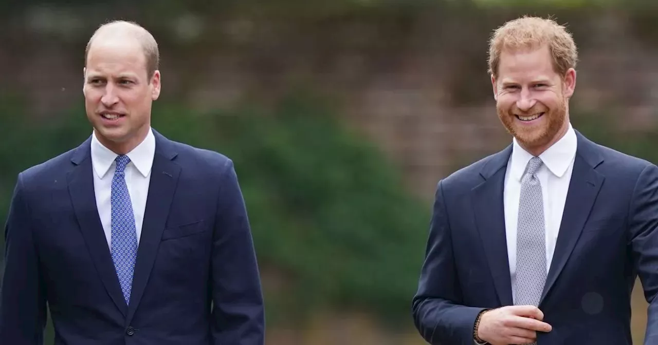 'Prince Harry and William's bond is dire but there's glimmer of hope'