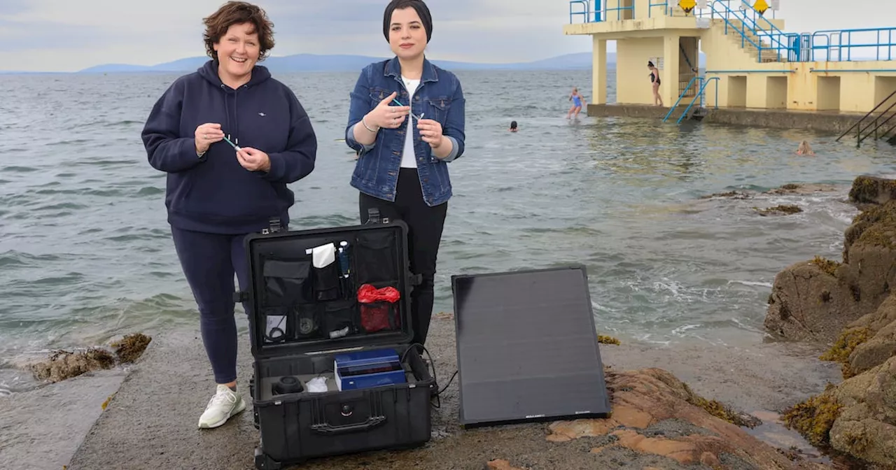 On-the-spot water test for dangerous form of E.coli developed by Irish scientists