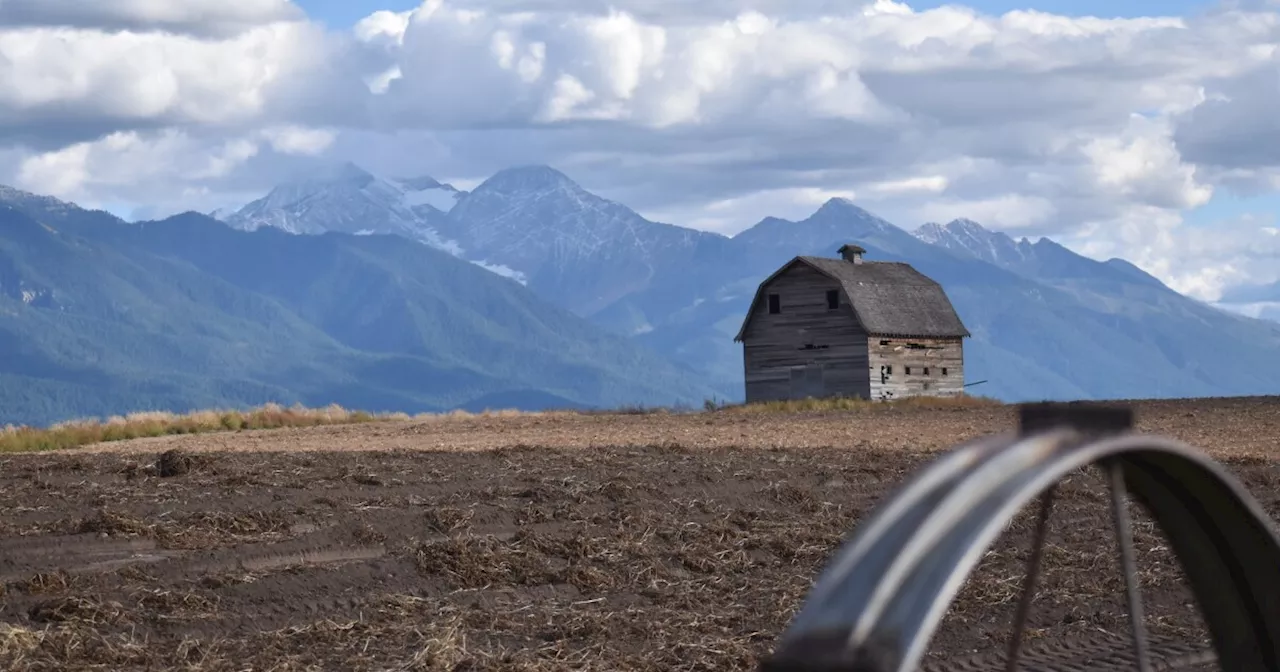 In Montana, 911 calls reveal hidden impact of heat waves on rural seniors