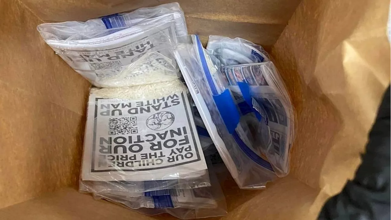 Antisemitic packets tossed onto driveways of dozens of Florida homes