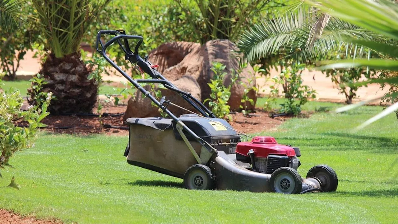 Bon plan jardinage du moment, cette tondeuse électrique profite d’une nouvelle remise