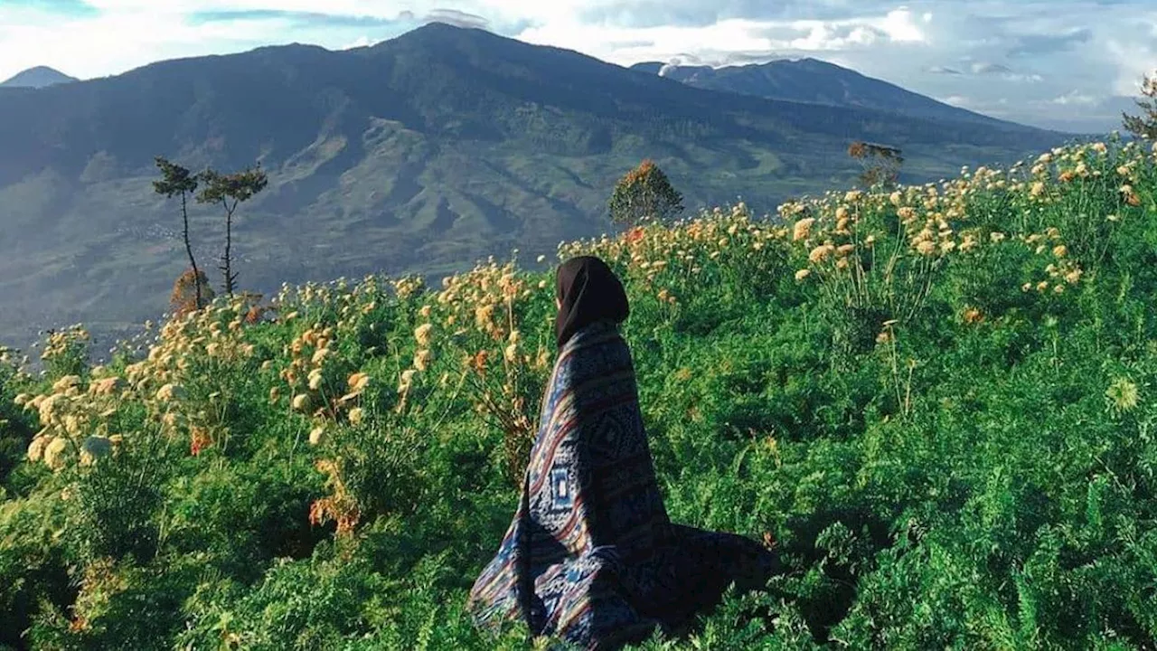 6 Fakta Menarik Gunung Artapela, Tempat Kemping Favorit Muda-mudi Bandung