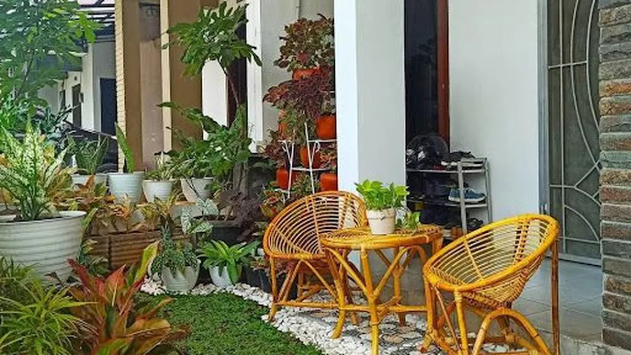 6 Ide Tanaman yang Cocok untuk Vertical Garden, Bikin Rumah Makin Asri dan Adem