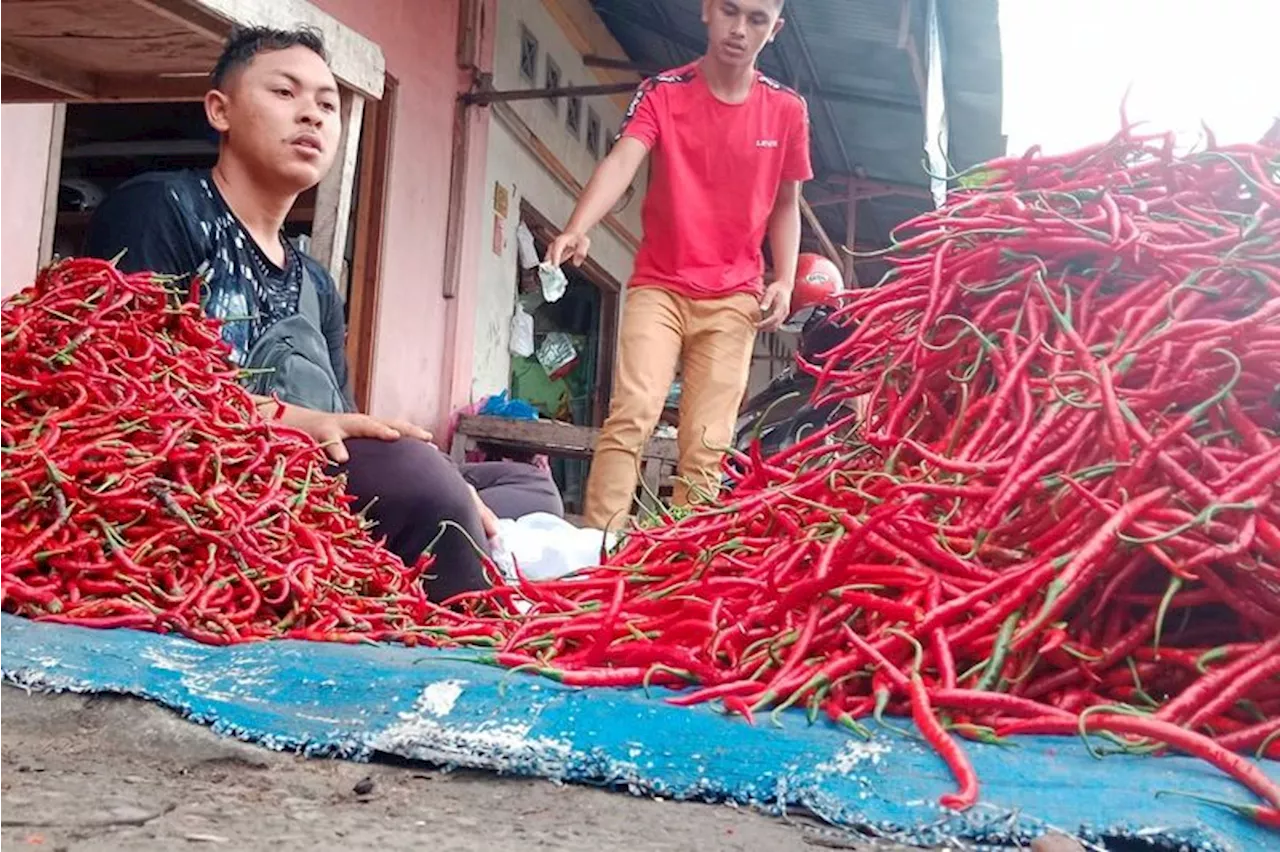 Bapanas dan Satgas Pangan terus Cek Stok dan Harga Pangan di Pasar