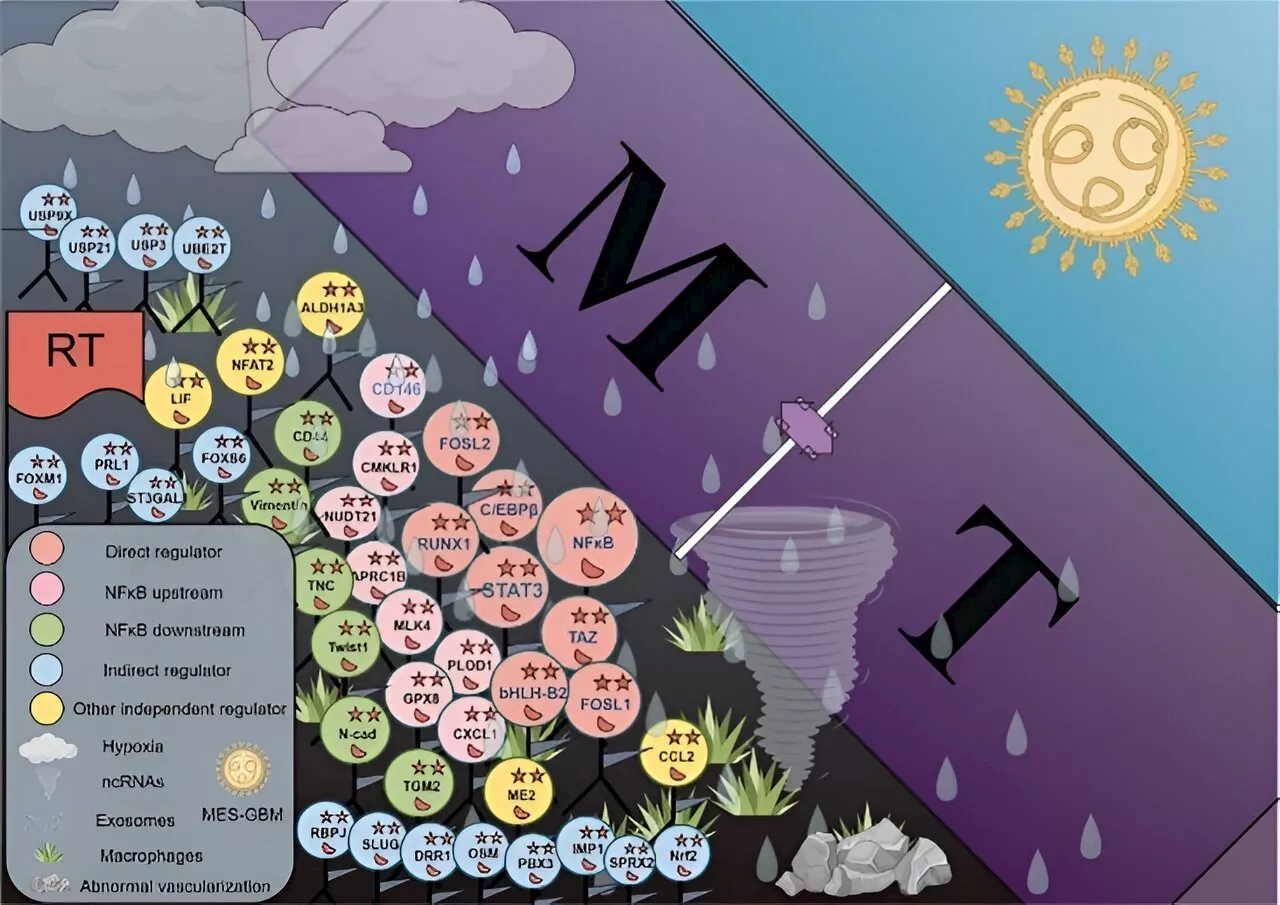 The battle against glioblastoma: Classifying molecular profiles for precision medicine