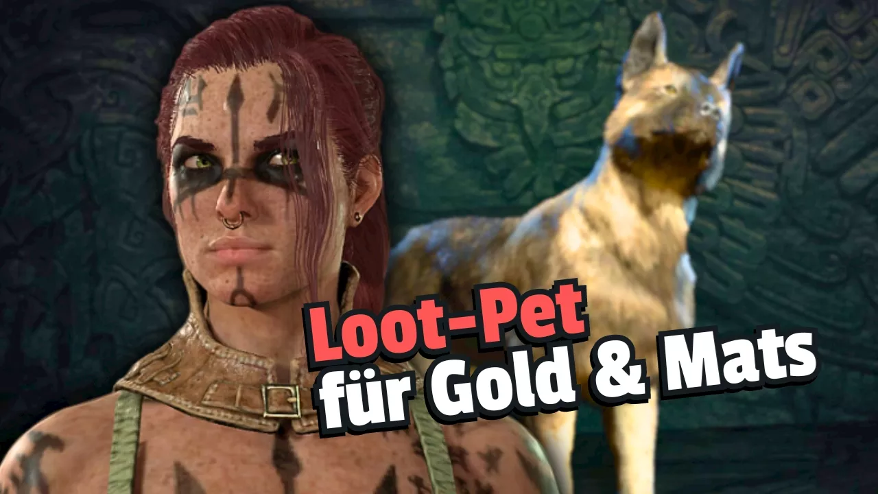 Diablo 4: Pets sammeln Gold und Mats auf – So bekommt ihr sie