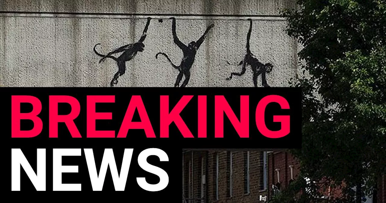 Banksy reveals third new animal-themed artwork in London