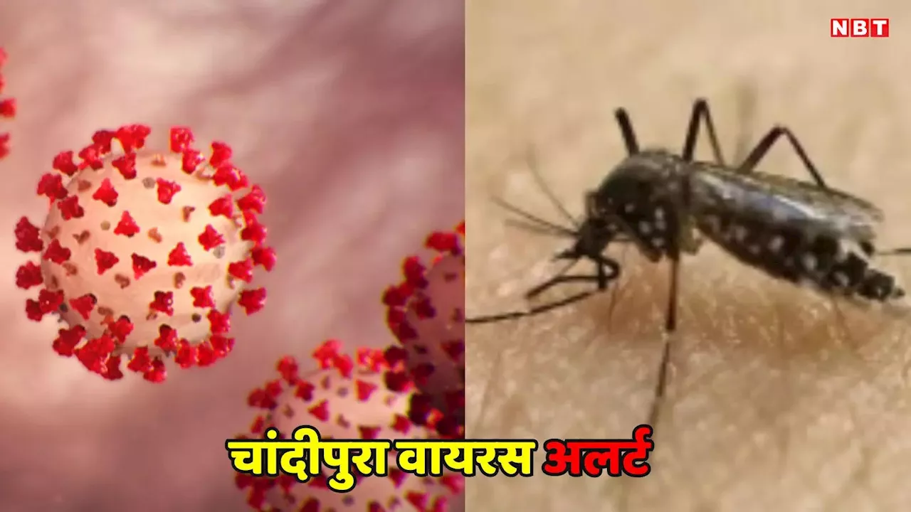 Chandipura Virus: एमपी में चांदीपुरा वायरस को लेकर सरकार का अलर्ट, हेल्थ डिपार्टमेंट ने जारी की एडवाइजरी, जानें लक्षण