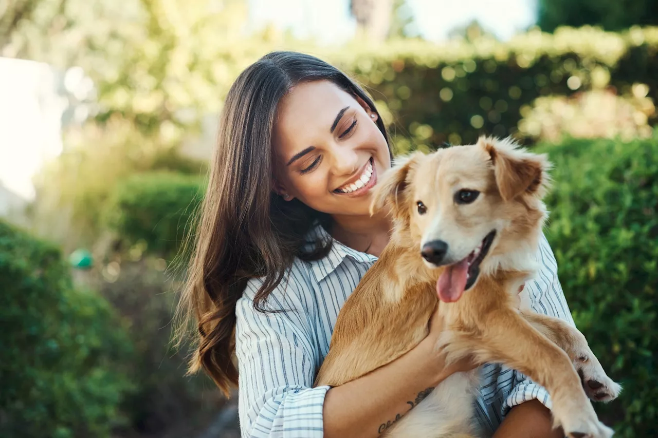 Pets significantly reduce anxiety and depression in women, especially those with childhood trauma