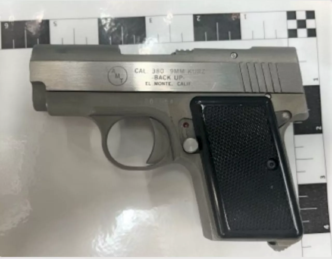 Newark airport passenger headed to France arrested with gun, officials say