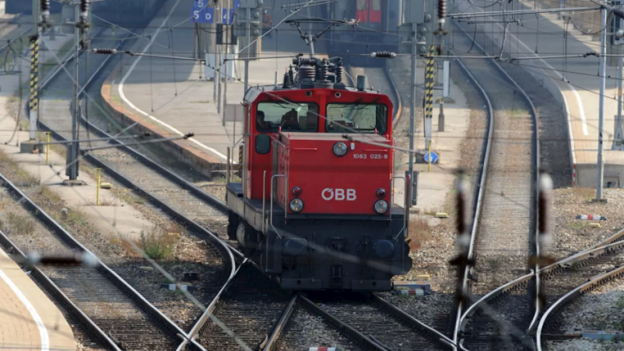 Junge 'Eisenbahn-Fans' als falsche Lokführer vor Gericht