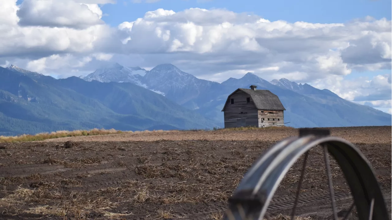 In Montana, 911 calls reveal hidden impact of heat waves on rural seniors