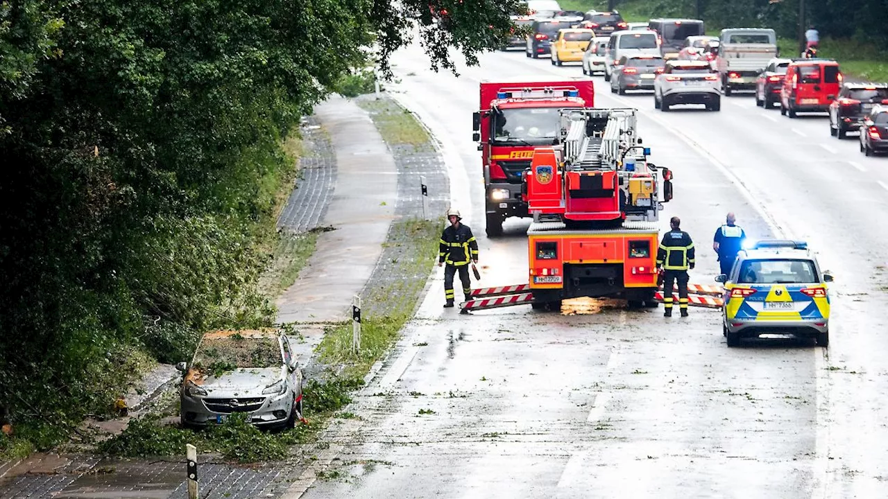 Hamburg & Schleswig-Holstein: Regen überschwemmt Straßen in Hamburg