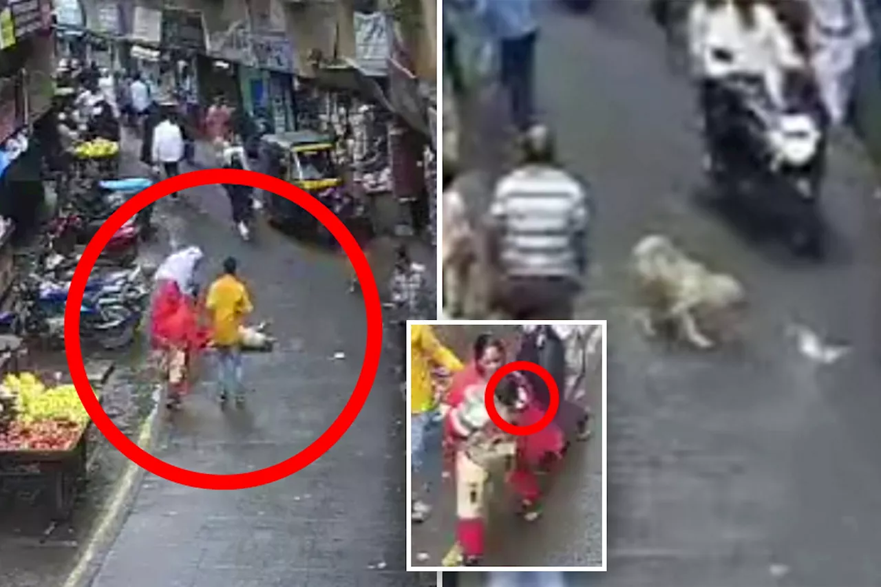 Girl, 4, killed when golden retriever falls five stories and lands on her in shocking new video