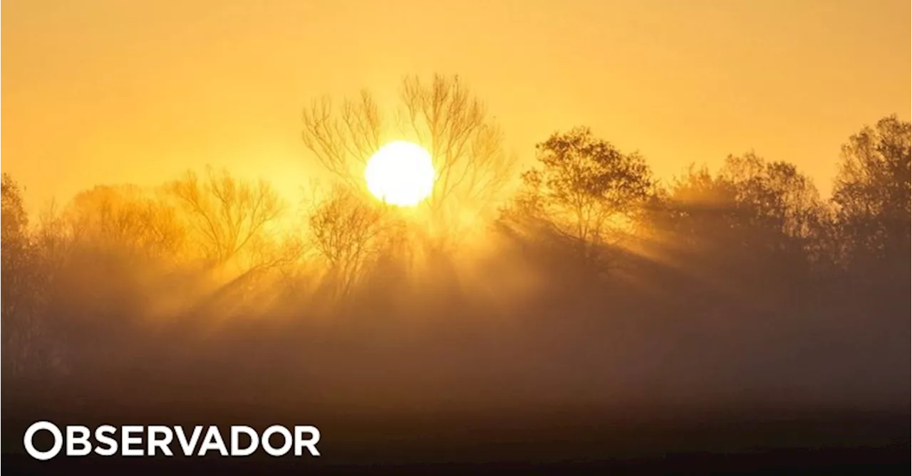 Calor extremo de julho provocou 'impactos devastadores', avisa Organização Meteorológica Mundial