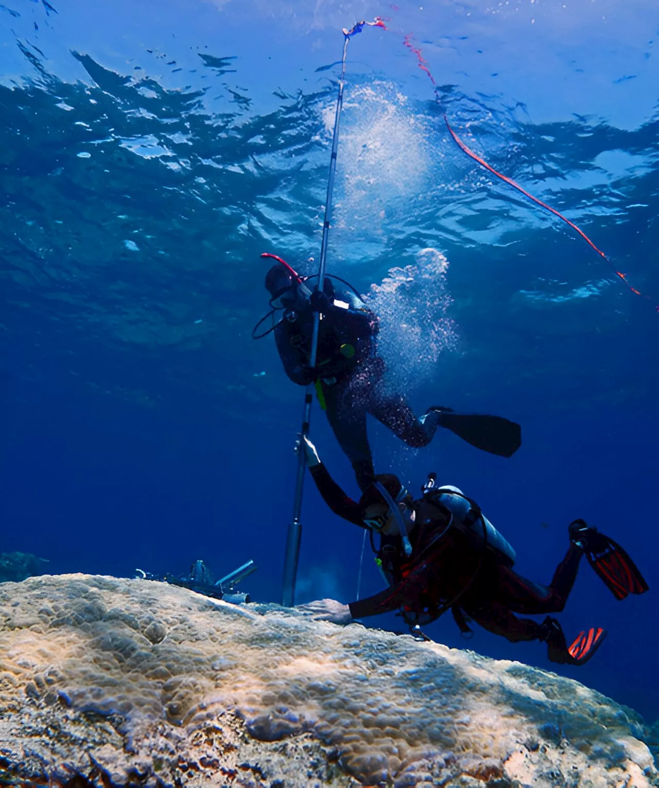 New 400-year temperature record shows Great Barrier Reef is facing catastrophic damage, researchers warn