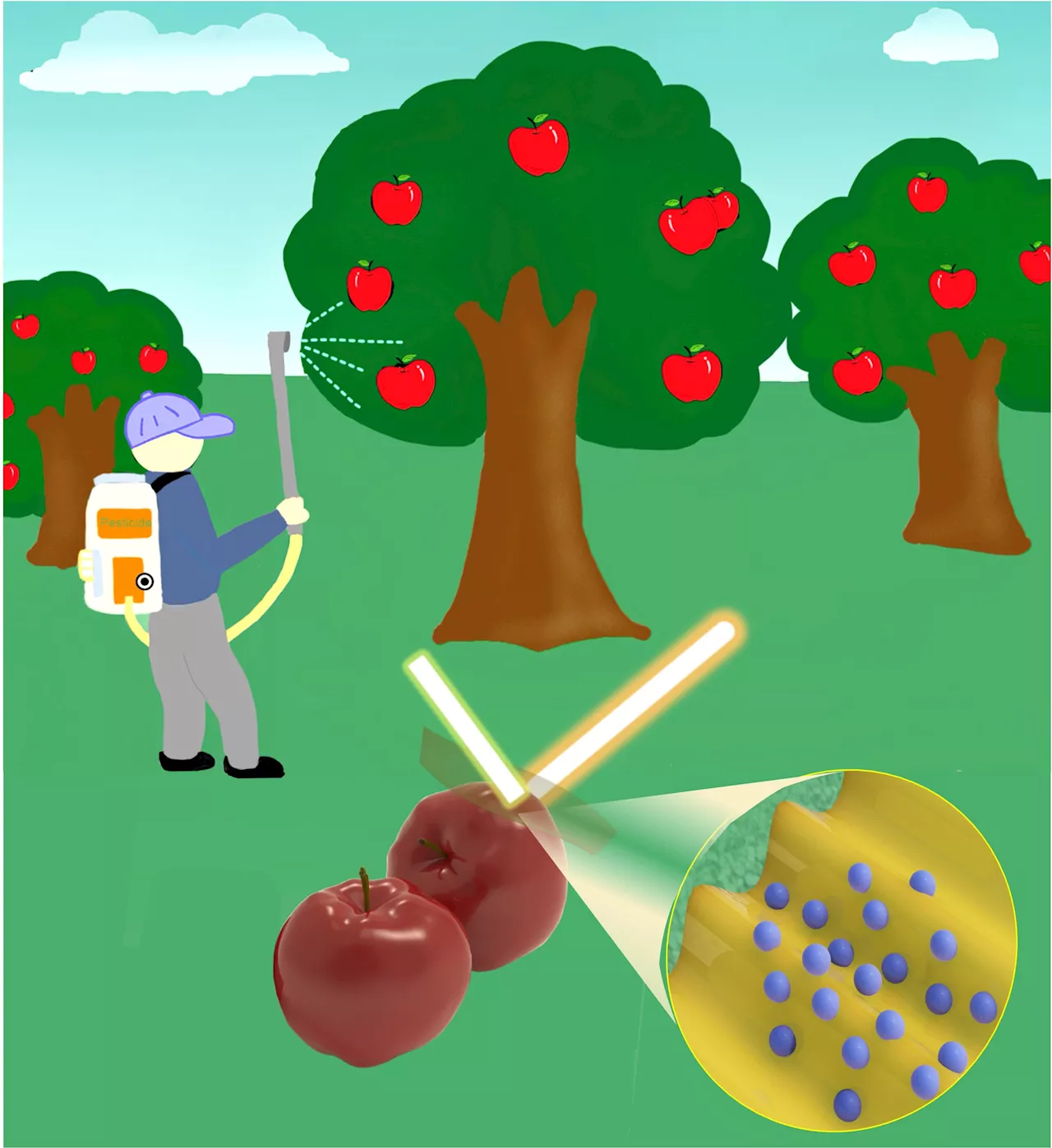 Researchers show that pesticide contamination is more than apple-skin deep